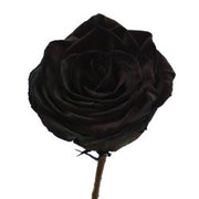 Ready To Go Wholesale Centerpieces Card
