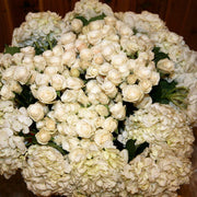 Ready To Go Wholesale Centerpieces Card
