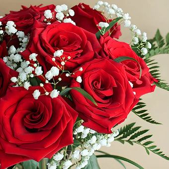 12 Long Stem Roses Valentines Day Bouquets Delivered