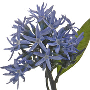 Ready To Go Wholesale Centerpieces Card