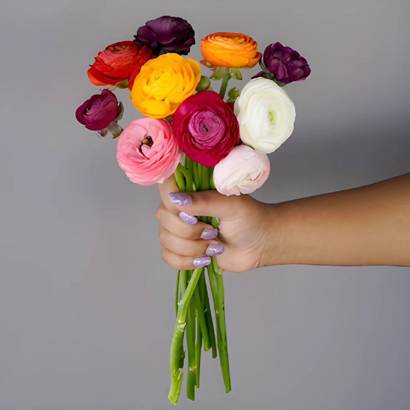 Save the Ranunculus Wild Flowers