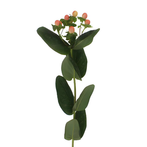 Peaches Designer Hypericum Berries
