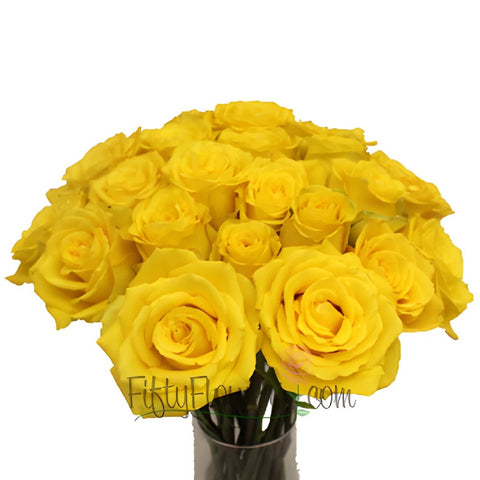 Yellow Bikini Rose