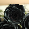 Black Roses Tinted