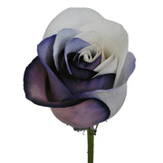 Ready To Go Wholesale Centerpieces Card