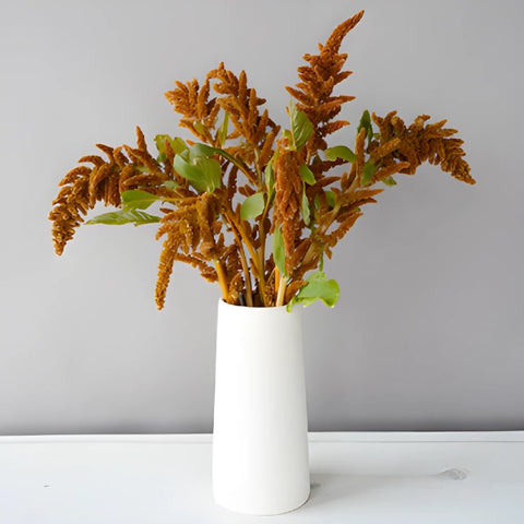 Bronze Upright Amaranthus Fresh Greens