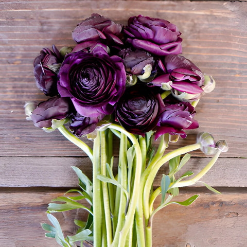 Save the Ranunculus Wild Flowers
