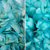 Caribbean Blue Enhanced Hydrangea