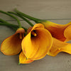 Chocolate Orange Mini Calla Flower