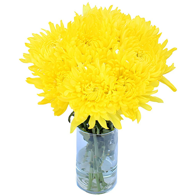 True Yellow Enhanced Football Mum Wedding Flower