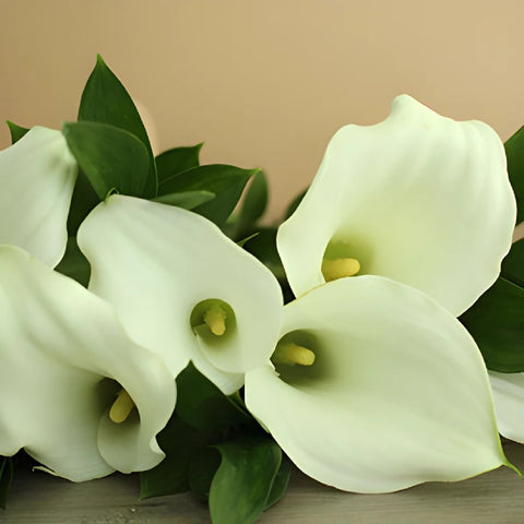 Off White Mini Callas Centerpieces
