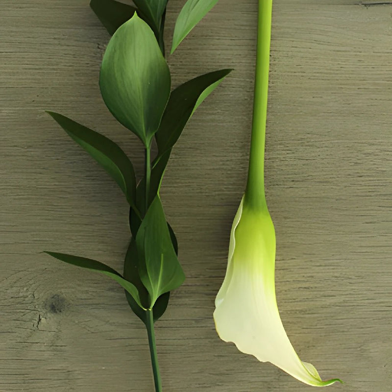Off White Mini Callas Centerpieces
