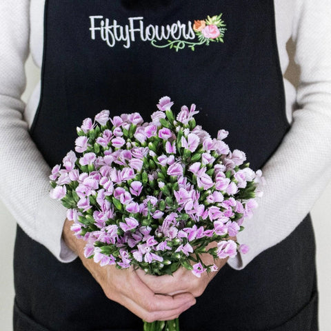 Pink Lilipot Wholesale Flowers Bunch In a Hand