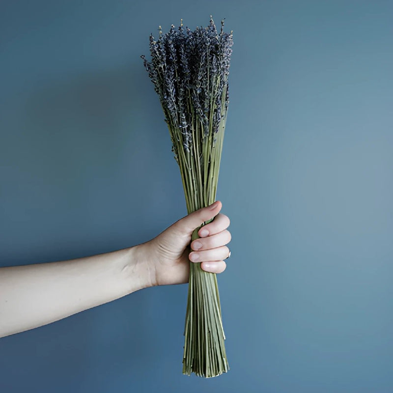 Dried Lavender Bulk Bunches