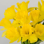 Ready To Go Wholesale Centerpieces Card
