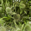 Sage Green Thistle Flower