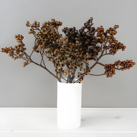 Dried Eucalyptus Pods