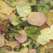 Ready To Go Wholesale Centerpieces Card