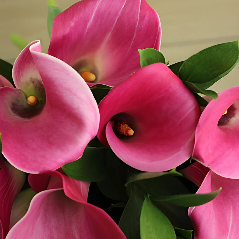 Purpleberry Mini Callas Centerpieces