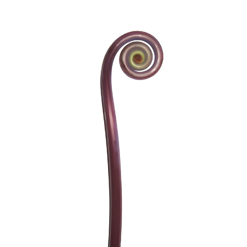 Fiddlehead Fern Filler Greenery