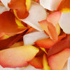 Terracotta Brown Creamsicle Fresh Rose Petals
