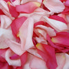 Touch of Pink Petals