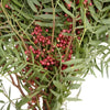 Hanging Pepperberry Bulk Fall Greens
