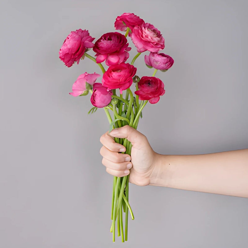 Save the Ranunculus Wild Flowers