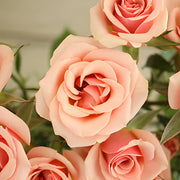 Ready To Go Wholesale Centerpieces Card