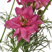 Ready To Go Wholesale Centerpieces Card