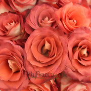 Ready To Go Wholesale Centerpieces Card