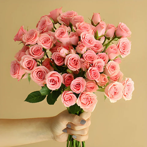 Pink Spray Bulk Roses