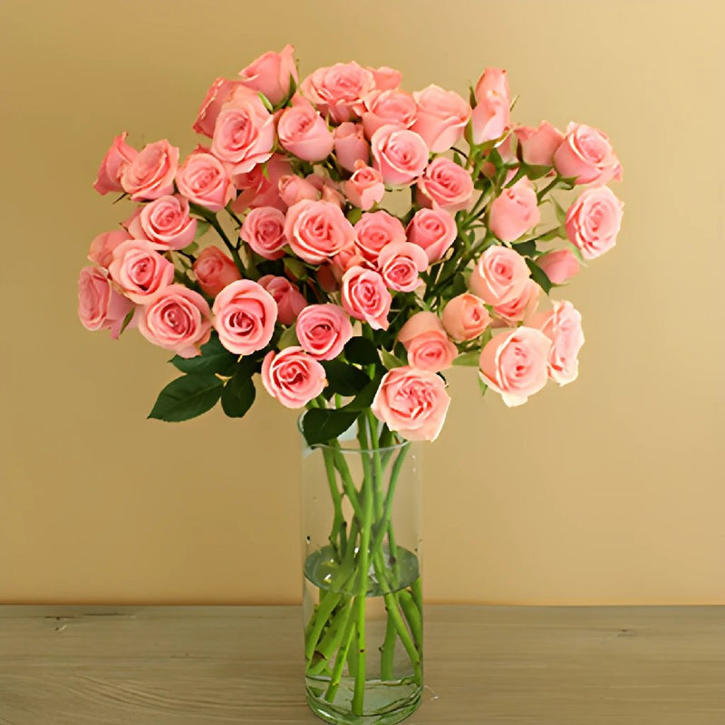 Pink Spray Bulk Roses