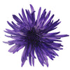 Midnight Purple Airbrushed Spider Mum