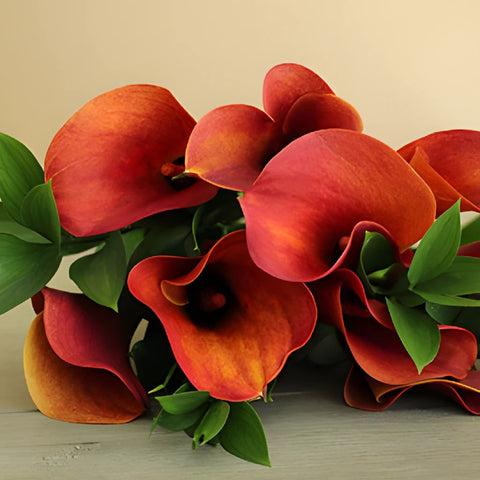Mango Mini Callas Centerpieces