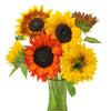 Farm Mix Mini Sunflowers for Arranging