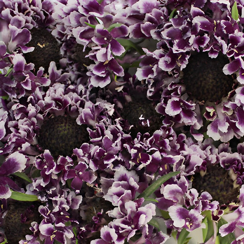 Frosted Amethyst Scabiosa Flower
