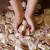 Muted Mauve Rose Petals