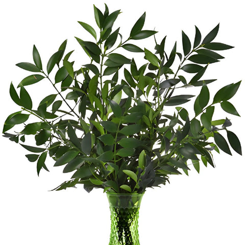 Wholesale nagi greenery bunch arranged