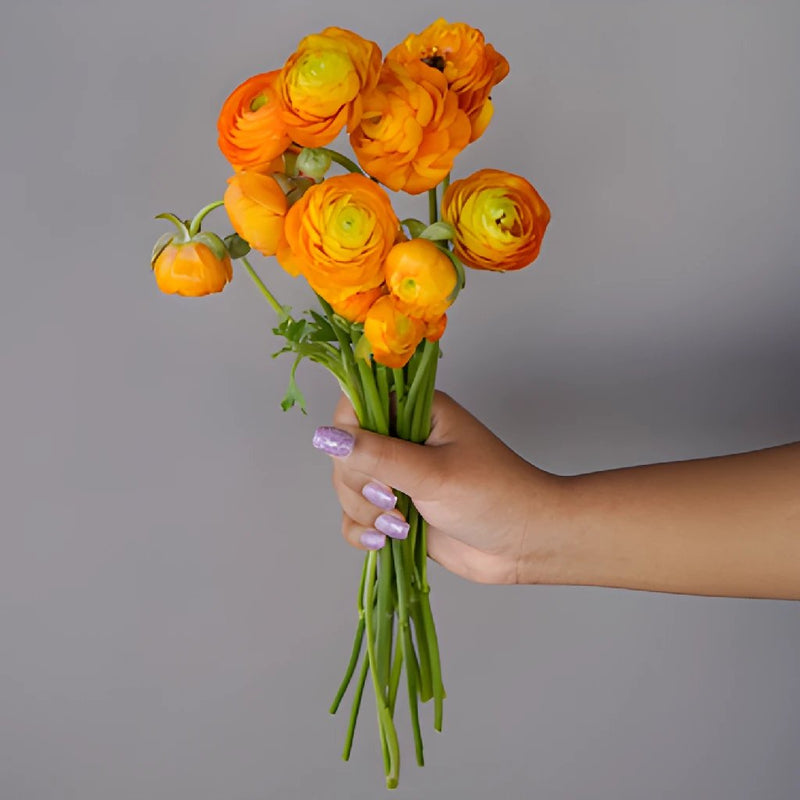 Save the Ranunculus Wild Flowers