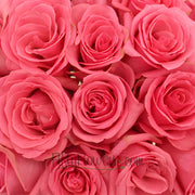 Ready To Go Wholesale Centerpieces Card