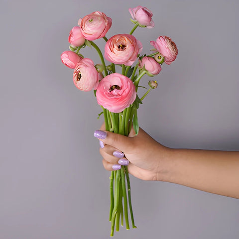 Save the Ranunculus Wild Flowers