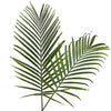 Palma Phoenix Green Filler