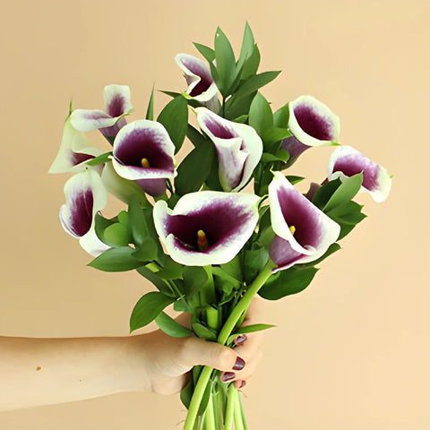 Picasso Mini Callas Centerpieces