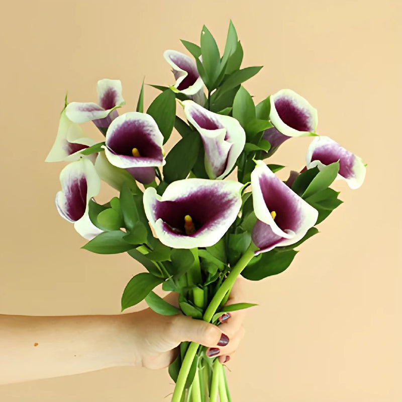 Picasso Mini Callas Centerpieces