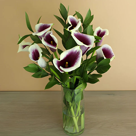 Picasso Mini Callas Centerpieces