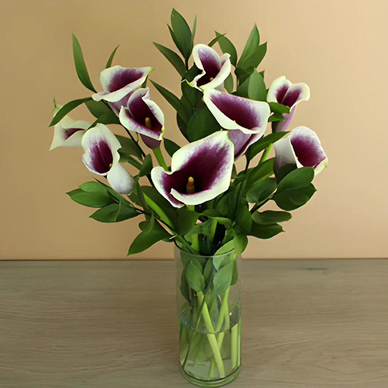 Picasso Mini Callas Centerpieces