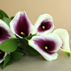 Save the Calla Lily Growers