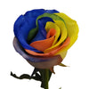 Rainbow Roses Custom Colors