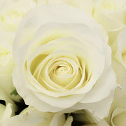 Ready To Go Wholesale Centerpieces Card